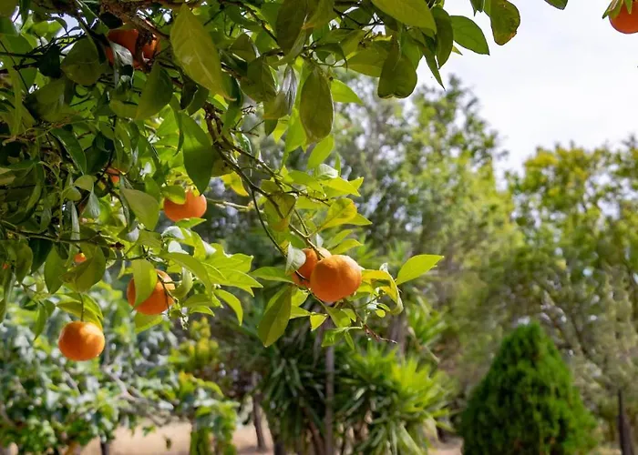 فيلة Luisa - Your In Sardinia *