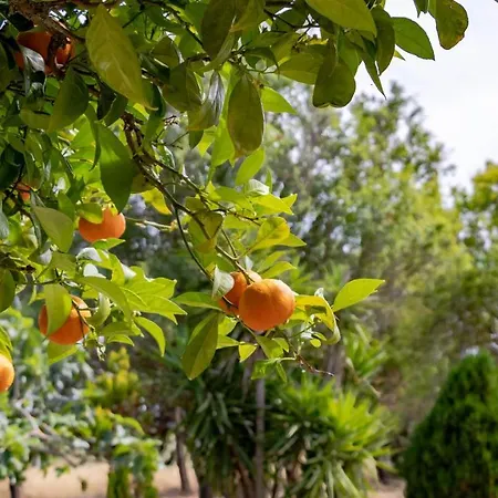 Vila Luisa - Your In Sardinia *