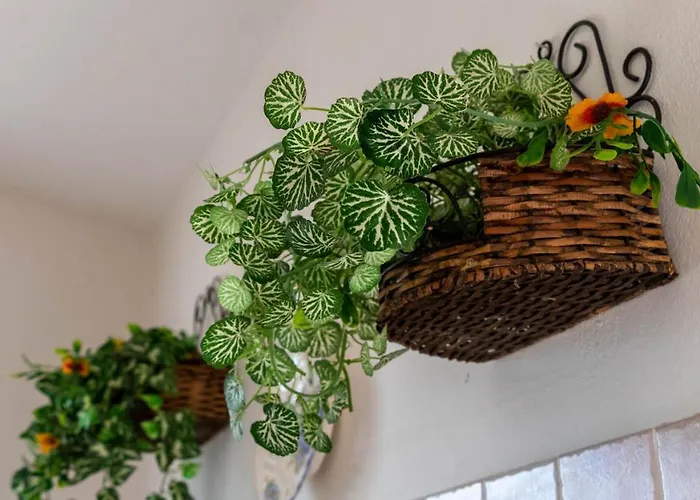 Luisa - Your In Sardinia Sassari